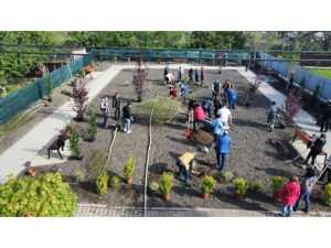Continuăm proiectul de a transforma Focşaniul într-un oraş verde Continuăm proiectul de a transforma Focşaniul într-un oraş verde