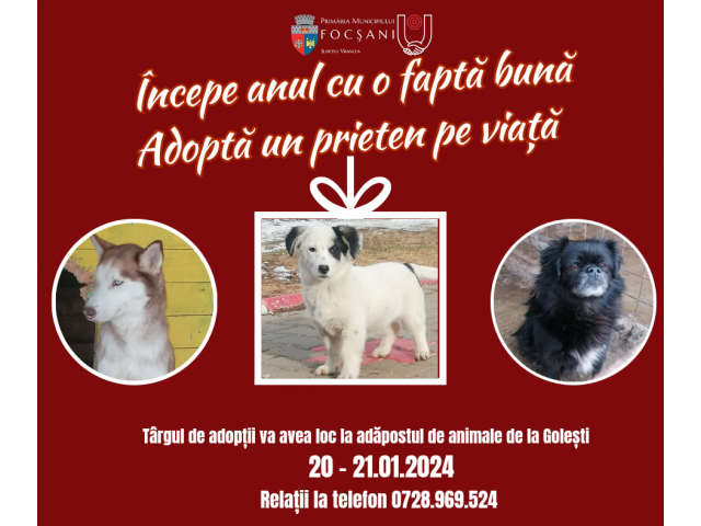 Târg de adopții la padocul Primăriei Focșani
