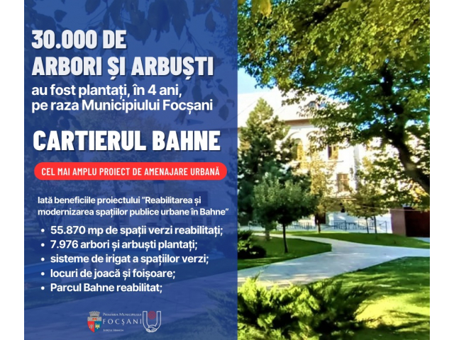 30 mii de arbori și arbuști plantați în Municipiul Focșani, în luna martie 2024 continuăm să plantăm