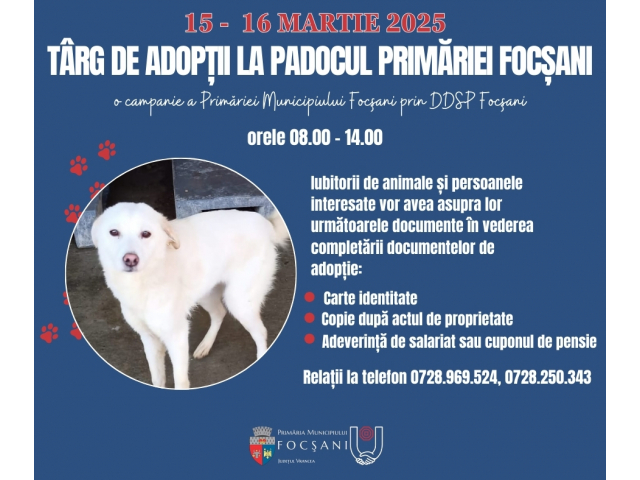 Târg de adopţii la padocul Primăriei Municipiului Focşani
